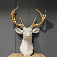 Load image into Gallery viewer, Wild Beauty Deer Wall Mount - Alchemy of Decor
