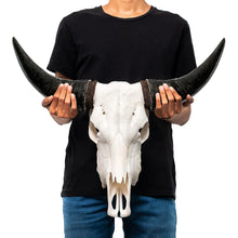 Load image into Gallery viewer, Mountain Guardian Yak Skull Wall Hanging Sculpture
