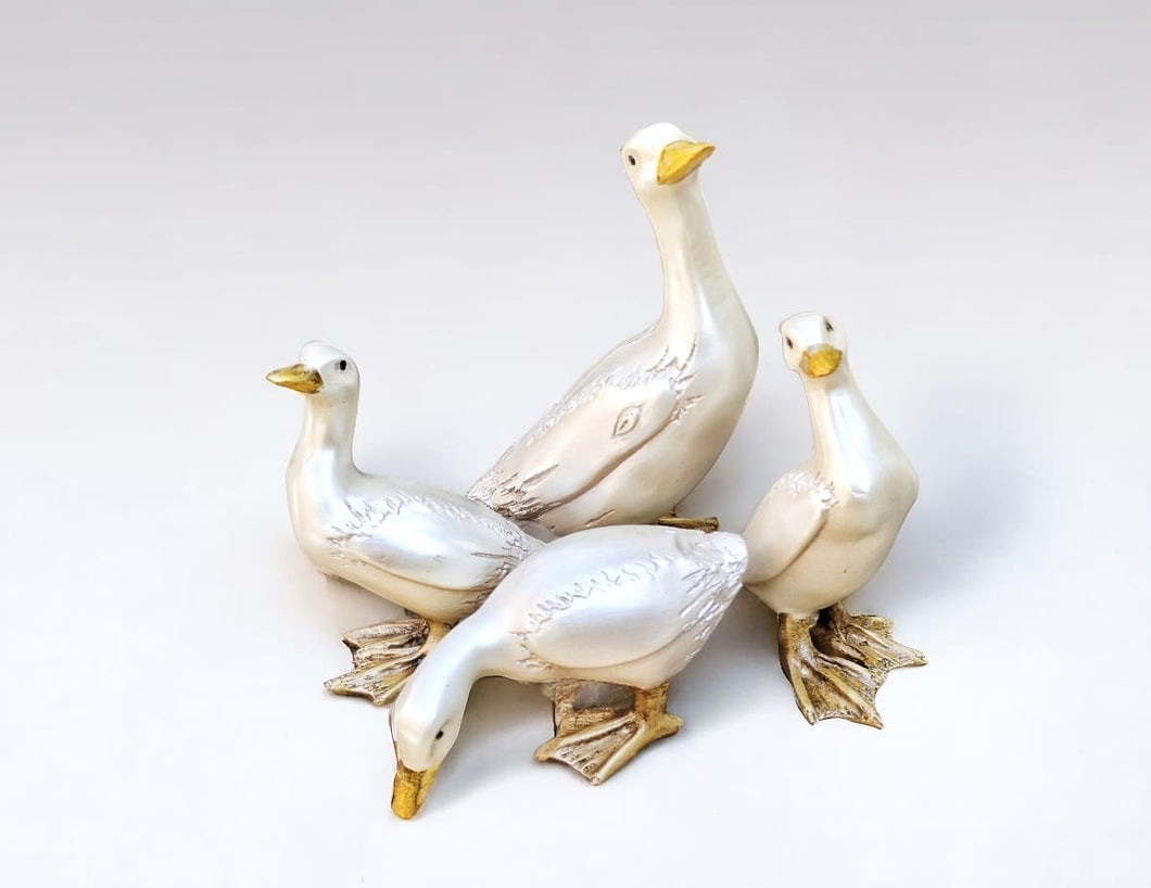 Elegant Duck Quartet