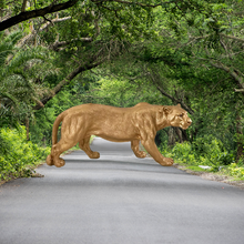 Load image into Gallery viewer, Leopard Grace: The Sculpted Elegance of the Wild - Alchemy of Decor
