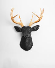 Load image into Gallery viewer, Wild Beauty Deer Wall Mount - Alchemy of Decor
