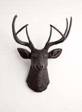 Load image into Gallery viewer, Wild Beauty Deer Wall Mount - Alchemy of Decor
