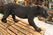 Load image into Gallery viewer, Wild Black Panther Art Sculpture - Alchemy of Decor
