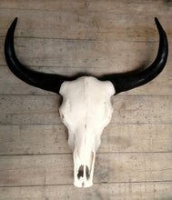 Load image into Gallery viewer, Mountain Guardian Yak Skull Wall Hanging Sculpture - Alchemy of Decor
